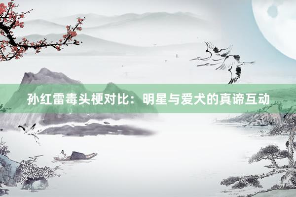 孙红雷毒头梗对比：明星与爱犬的真谛互动