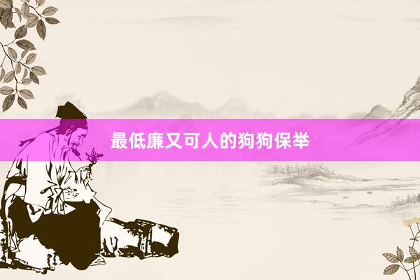 最低廉又可人的狗狗保举